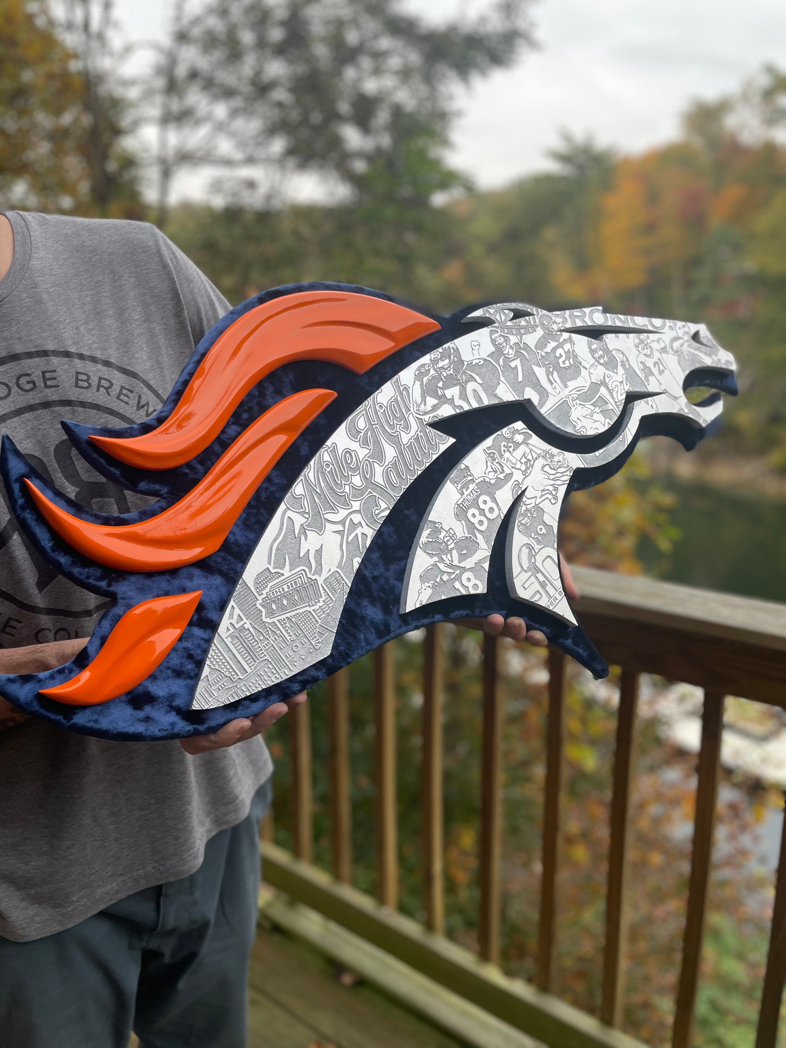 : FOCO Denver Broncos Wordmark Light Up Printed Beanie : Sports  & Outdoors