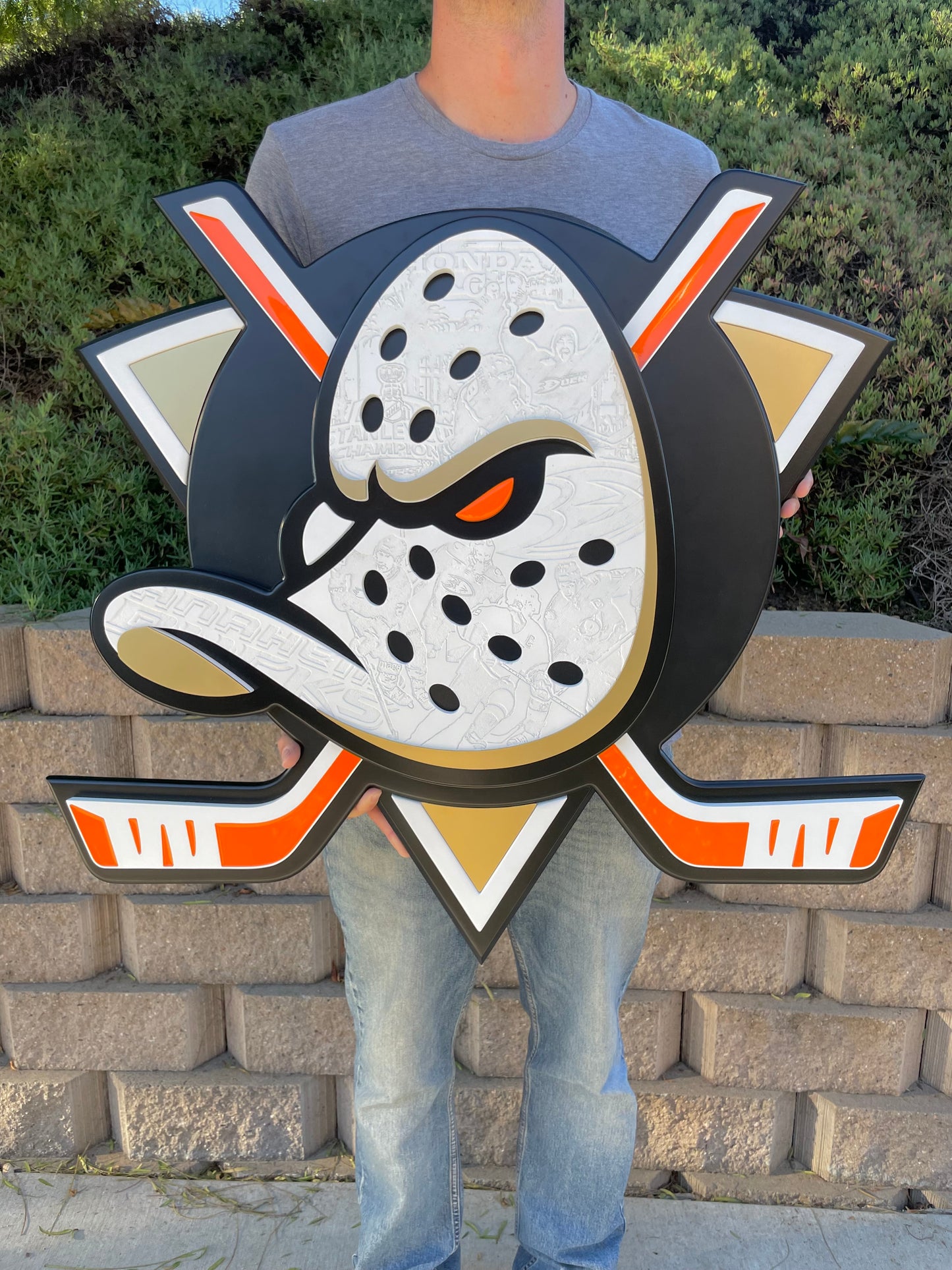 Anaheim Ducks LED sign